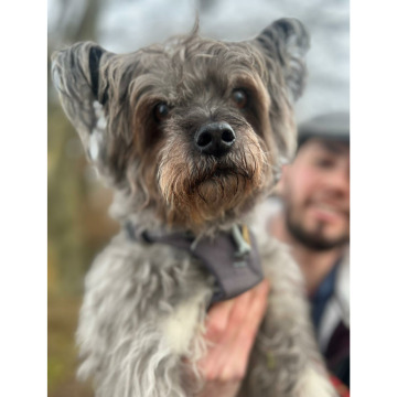 Notice Gallery for JACK FOOTE