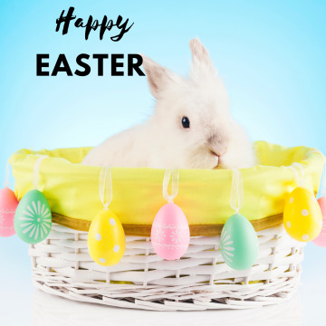 Notice Gallery for BOOTH