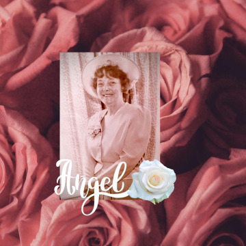 Notice Gallery for BOOTH