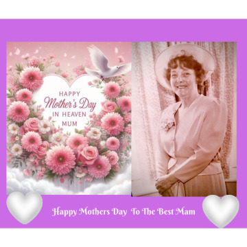 Notice Gallery for BOOTH