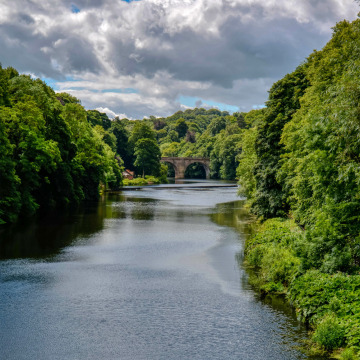 Notice Gallery for BRENDA MOORE