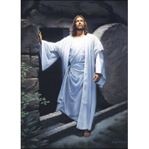 Photo of MICHAEL MCLOUGHLIN