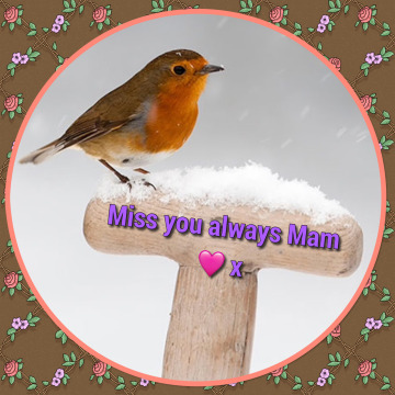 Photo for notice  FRANCES SARAH MCHUGH