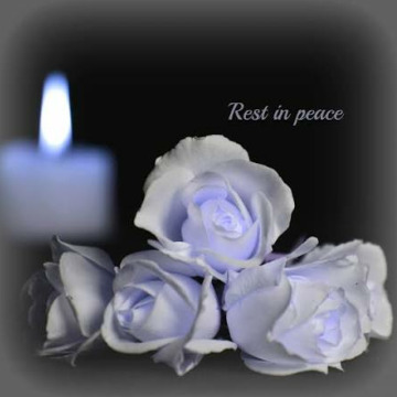 Tribute photo for CHARLES BURNS