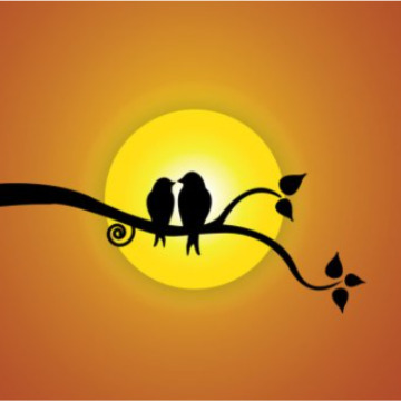 Notice Gallery for JAMES SHIELDS