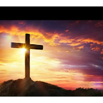 Notice Gallery for JAMES SHIELDS