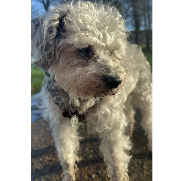 Notice Gallery for GRAHAM HUXTABLE