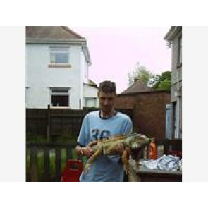 Notice Gallery for GARY ZSCHIESCHENEK