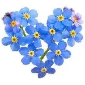 Notice Gallery for JOYCE EDITH HANLEY