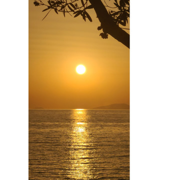 Photo for notice Barry BENTHAM