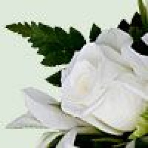 Notice Gallery for Desmond TULLY