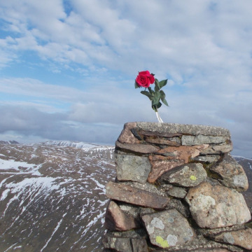 Notice Gallery for LINDA MAY LEWIS