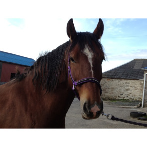 Notice Gallery for GILLIAN COCHRANE