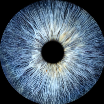 Notice Gallery for JEAN TYRER