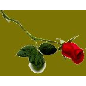 Notice Gallery for AUDREY COLE