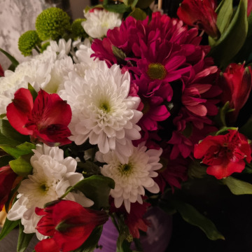 Notice Gallery for AUDREY MCALPINE