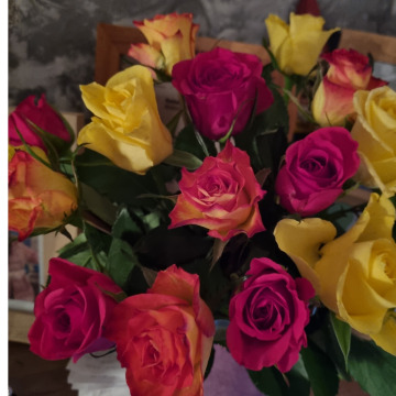 Photo for notice Audrey MCALPINE