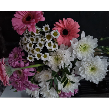 Photo for notice Audrey MCALPINE