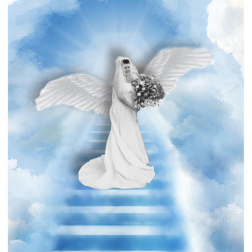 Notice Gallery for LINDA CLARK