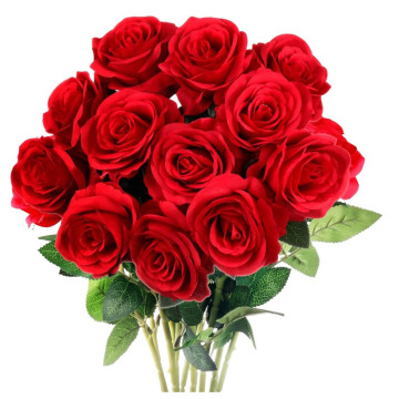 Tribute photo for KATHLEEN LAUDER