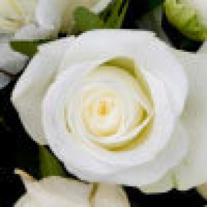 Notice Gallery for NORMA SHIRLEY VAUGHAN