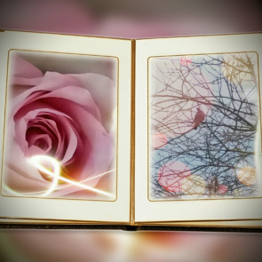 Notice Gallery for Beryl SPOONER