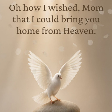 Photo for notice Ellen BURKE