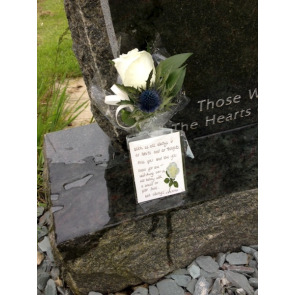 Photo of MICHAEL DOCHERTY