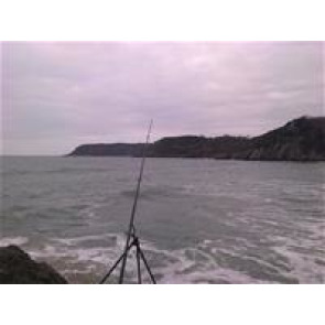 Notice Gallery for ANTHONY SIMPSON