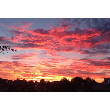 Notice Gallery for DOUGLAS (DOUGIE) GREENSHIELDS