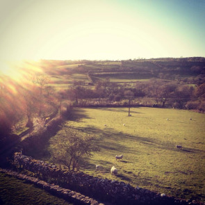 Notice Gallery for Don SPOONER