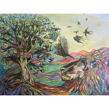 Notice Gallery for Don SPOONER