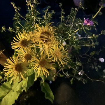 Notice Gallery for Don SPOONER