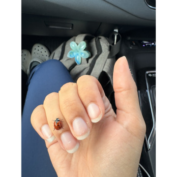 Photo for notice Sally SMITH