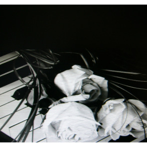 Notice Gallery for Mark David WHALE
