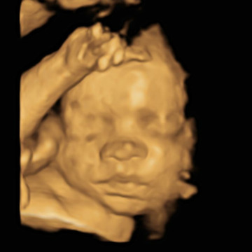 Notice Gallery for Ronald POWELL