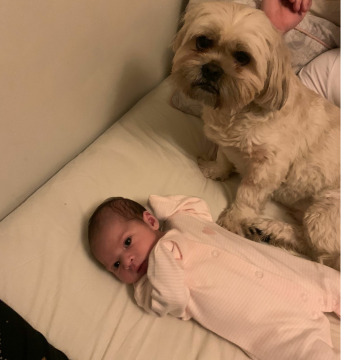 Notice Gallery for Ronald POWELL