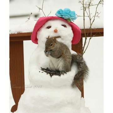 Notice Gallery for Myrtle C HEPBURN