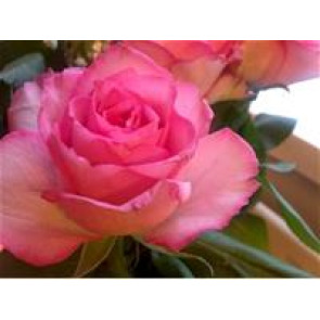 Photo of Betty LANGHAM