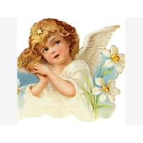 Notice Gallery for Adele COX