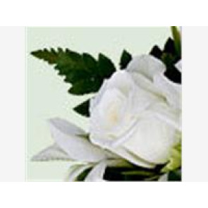 Notice Gallery for John HENDERSON