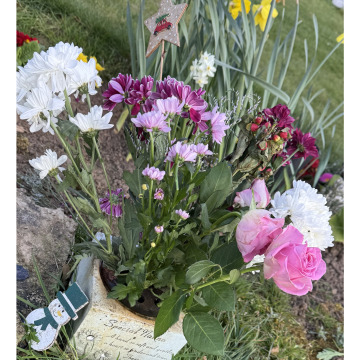 Notice Gallery for Priscilla WRIGHT