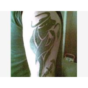 Notice Gallery for Graham Charles NICHOLLS