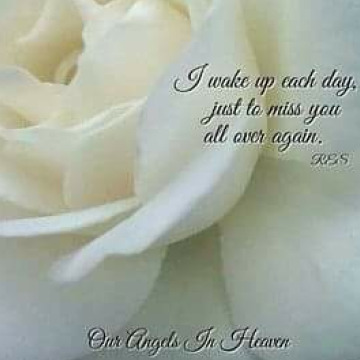 Notice Gallery for Roberto CAVALLUCCI