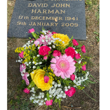 Photo for notice Dave DEE