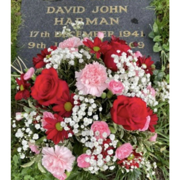 Tribute photo for Dave DEE