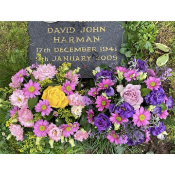 Photo for notice Dave DEE