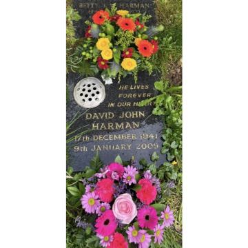 Photo for notice Dave DEE