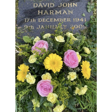 Notice Gallery for Dave DEE