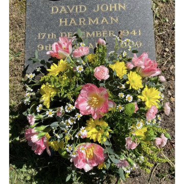 Photo for notice Dave DEE